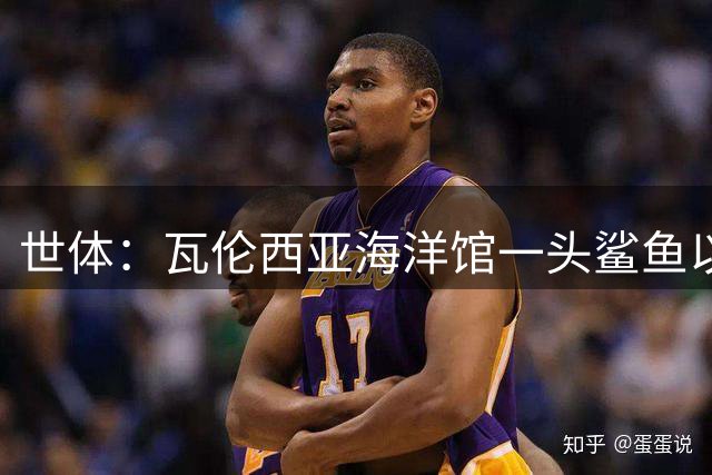 世体：瓦伦西亚海洋馆一头鲨鱼以费兰·托雷斯的名字命名
