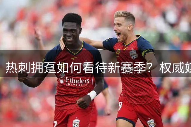 热刺拥趸如何看待新赛季？权威媒体启动球迷情绪调研